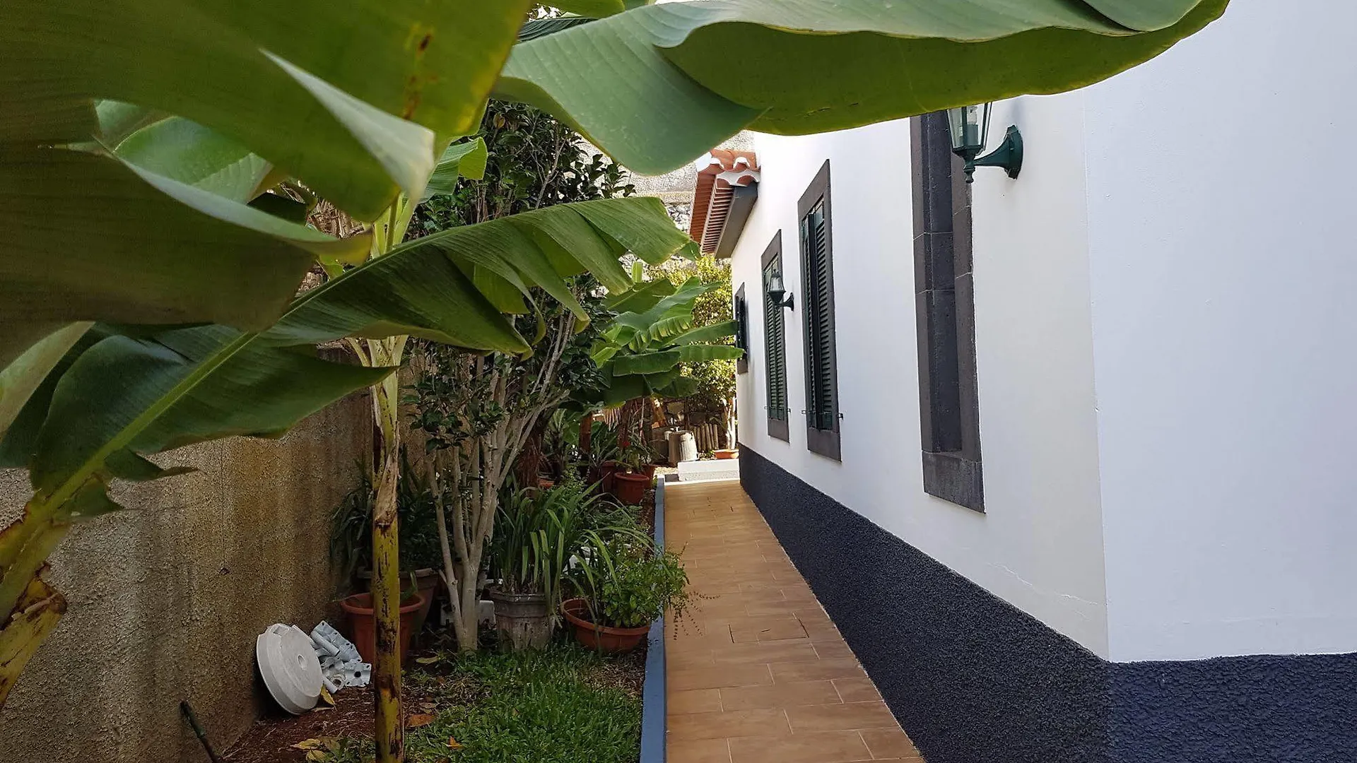Villa Dragoeiro Funchal