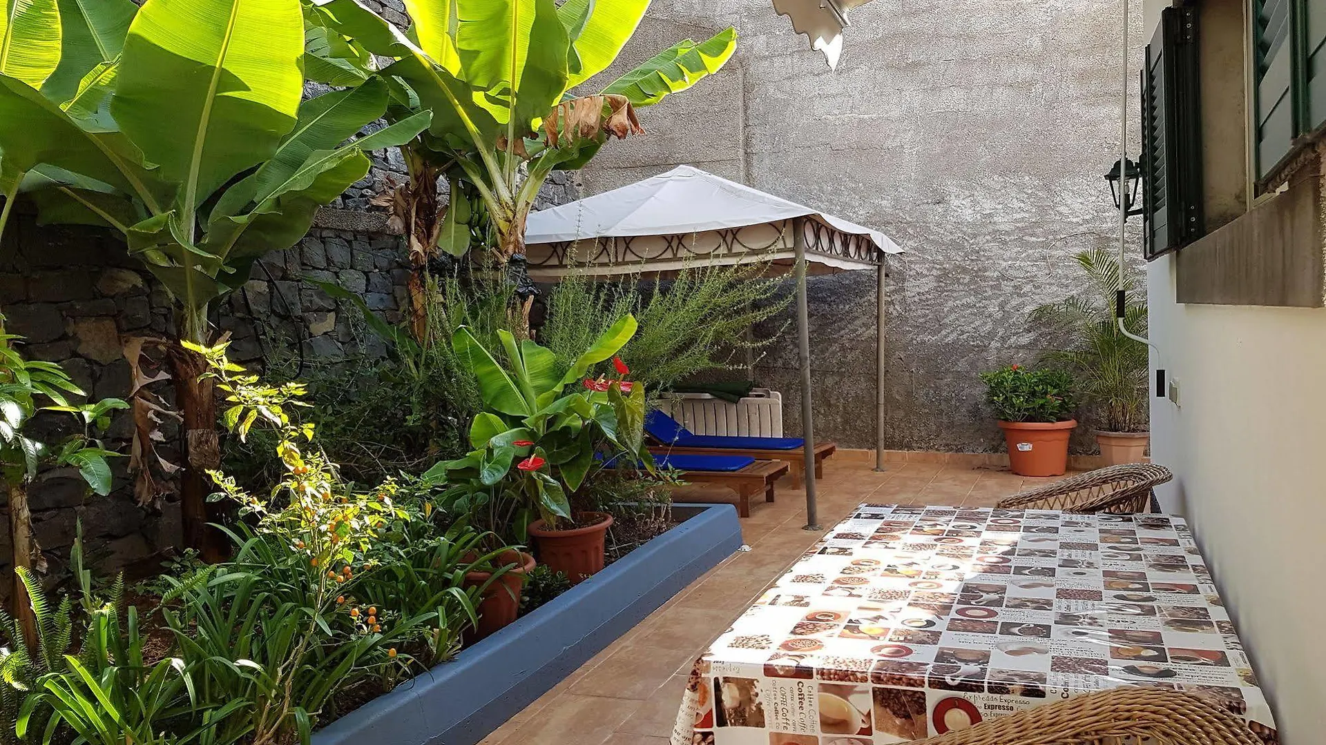 Villa Dragoeiro Funchal  Πορτογαλία