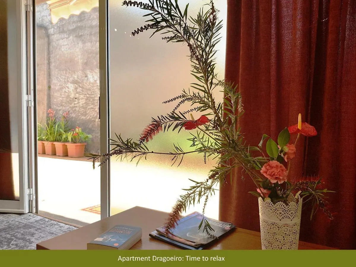 Villa Dragoeiro Funchal