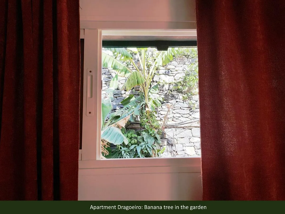 Villa Dragoeiro Funchal  Πορτογαλία
