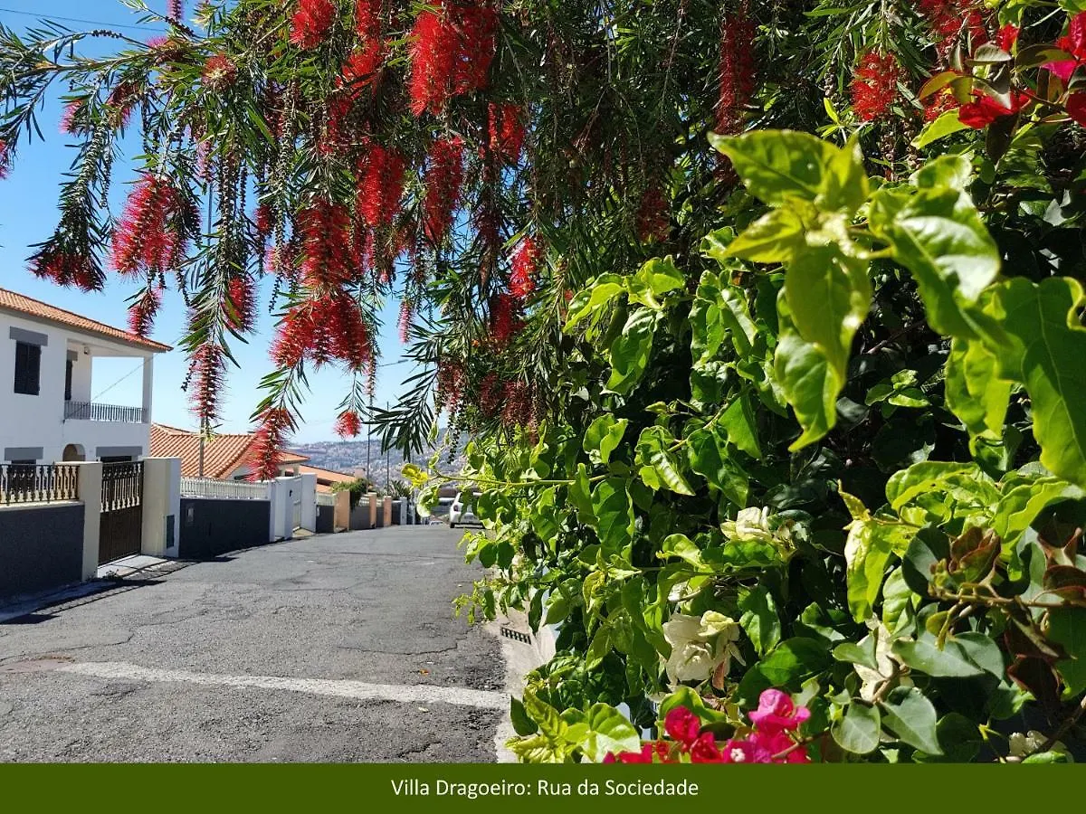 Villa Dragoeiro Funchal  Πορτογαλία