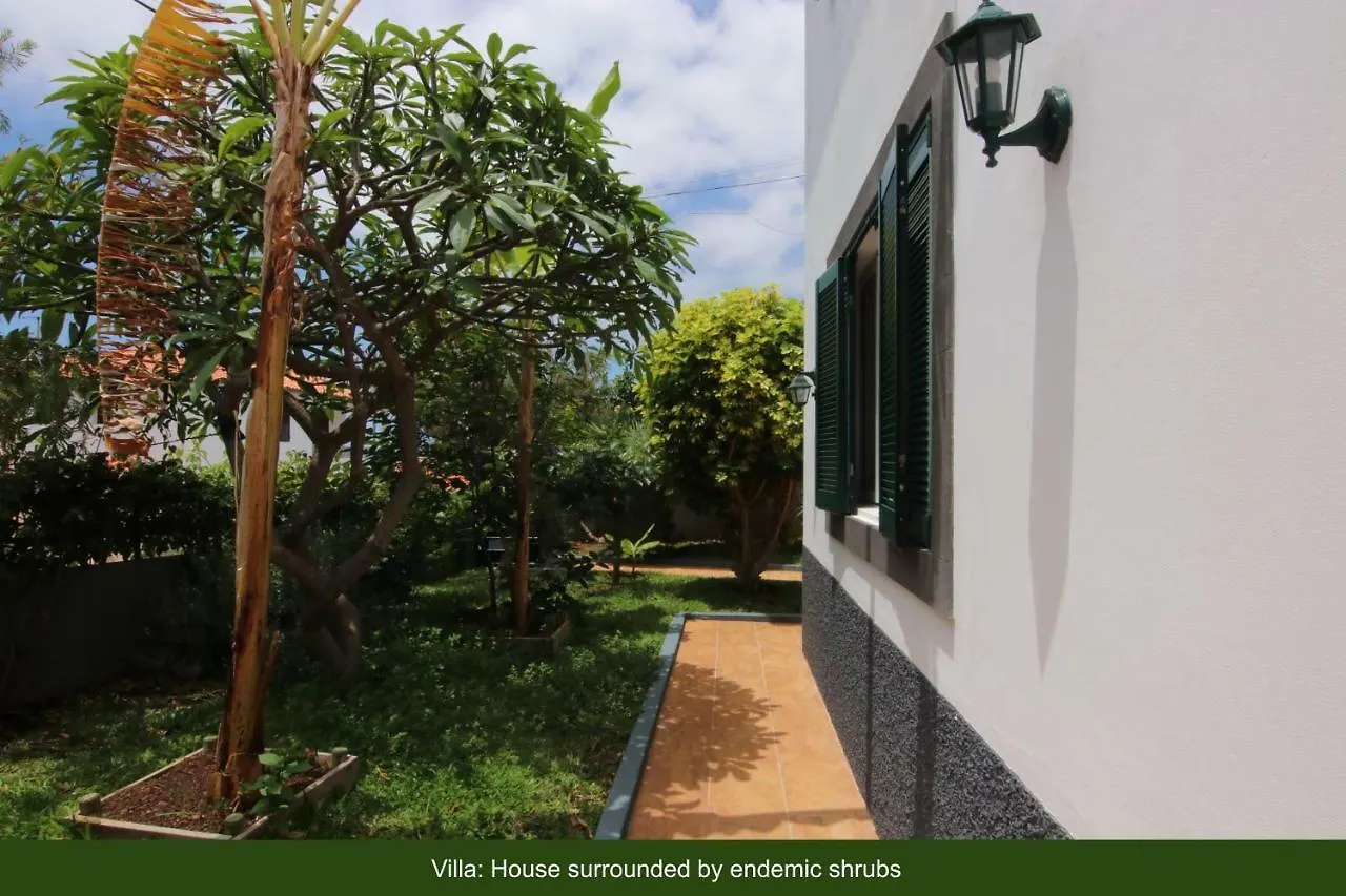Villa Dragoeiro Funchal