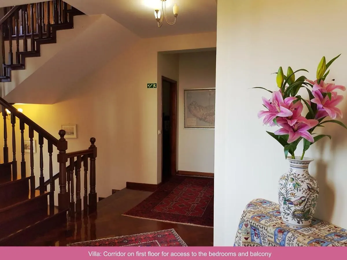 Villa Dragoeiro Funchal